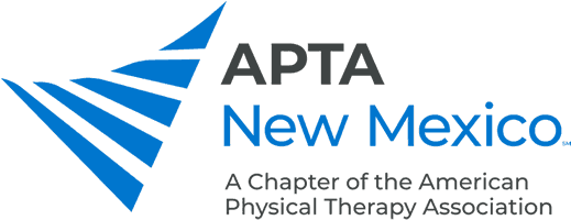 American Physical Therapy Association